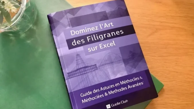dominez-lart-des-fil